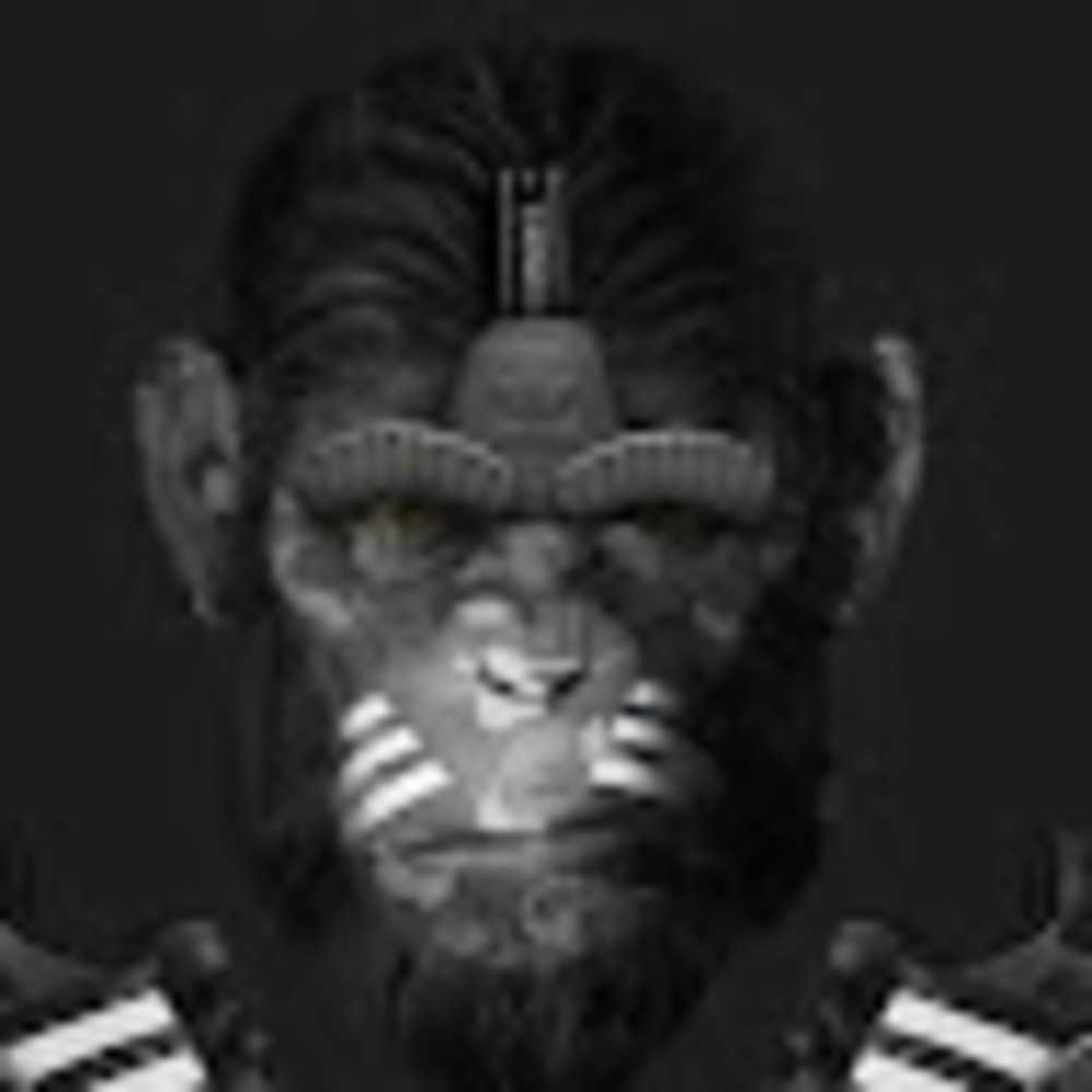 Meet your Posher, Marko polo